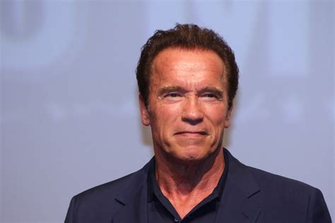The “Escape” actor was previously married to Sacha Czack and Brigitte Nielsen. . Arnold swansinger movies